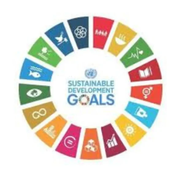 Sustainable Development