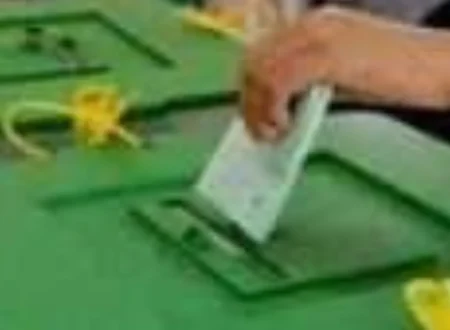 Local Government Polls