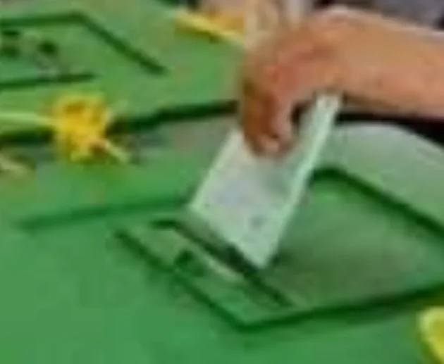 Local Government Polls