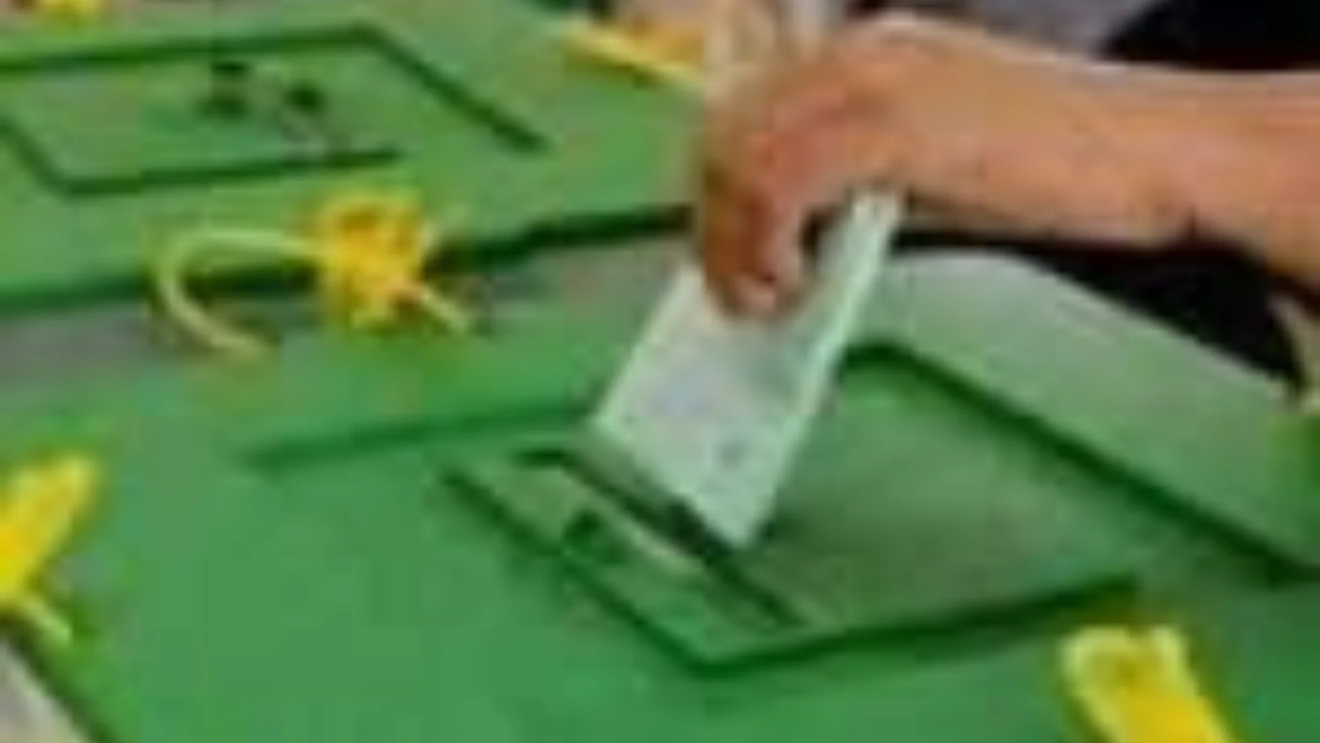 Local Government Polls