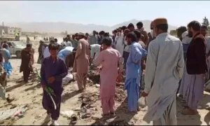 Terrorism