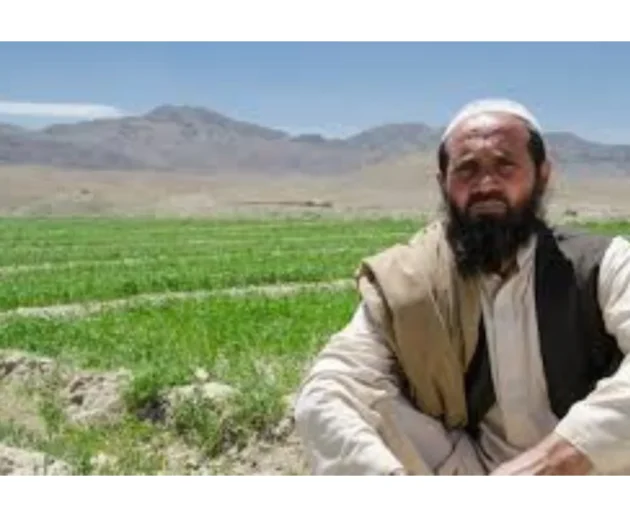 Balochistan Updates