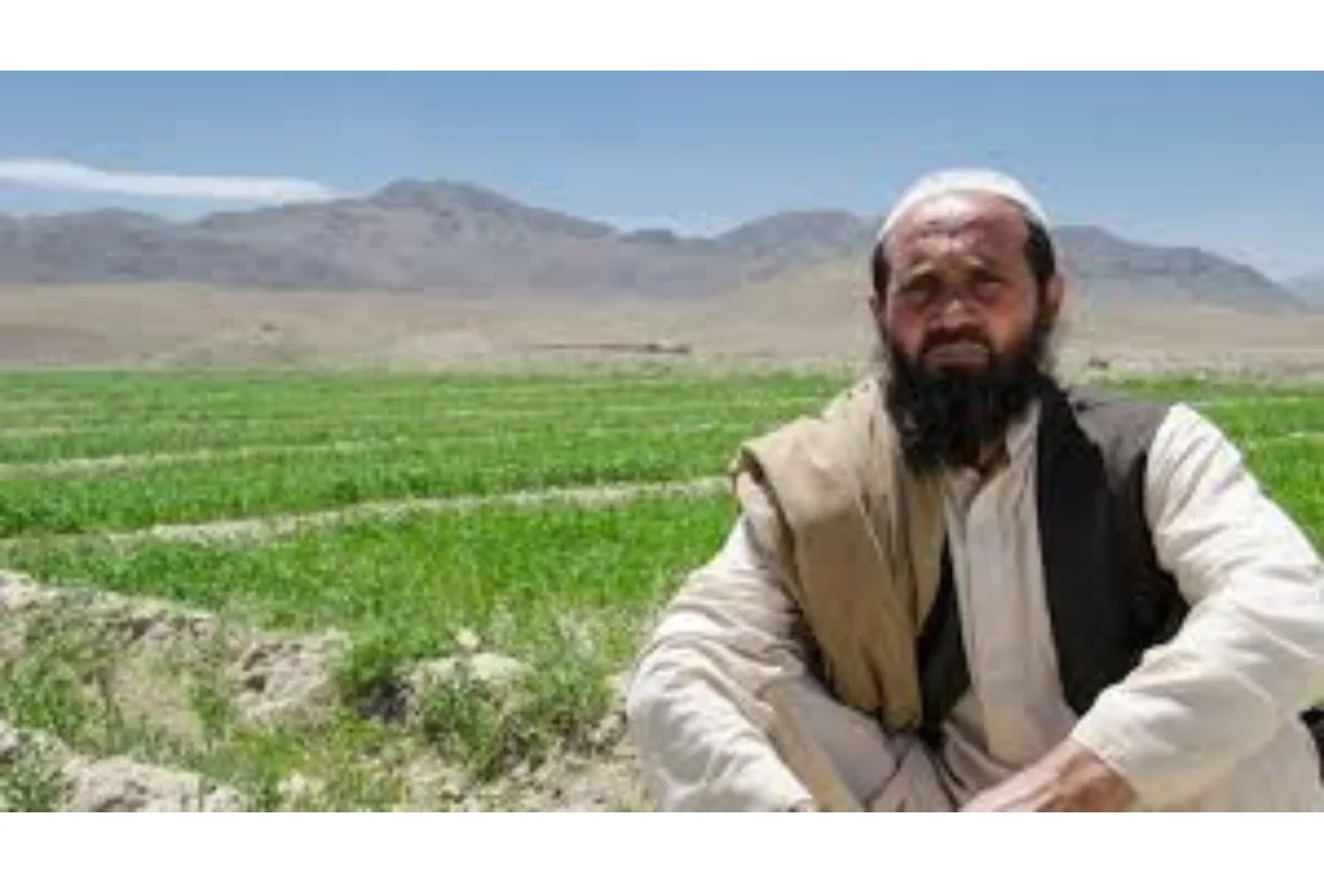 Balochistan Updates