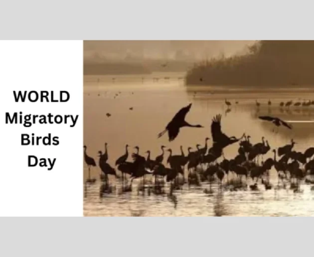 Migratory Birds
