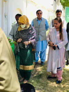 Tree Plantation