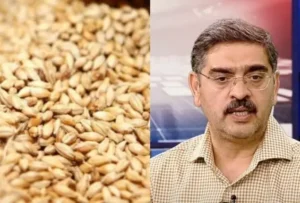 Wheat Scandal