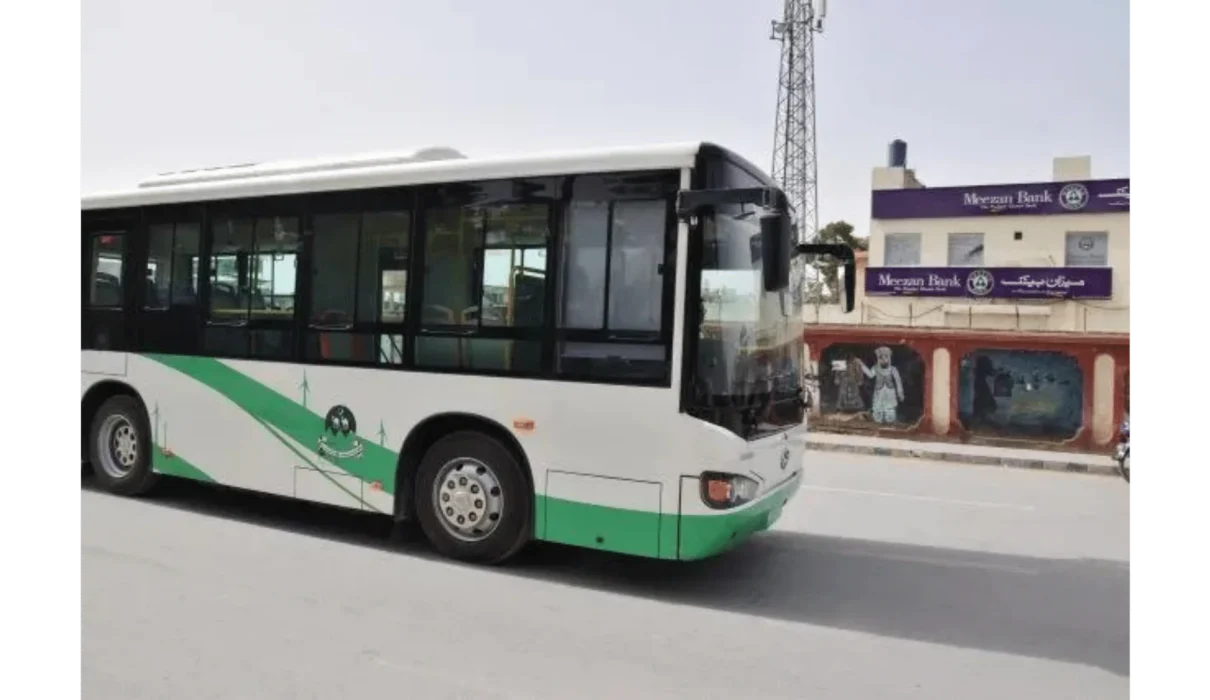 100 green buses