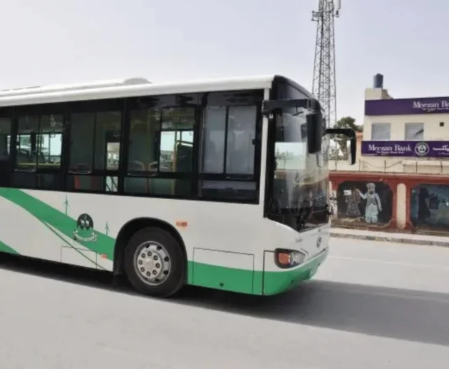 100 green buses