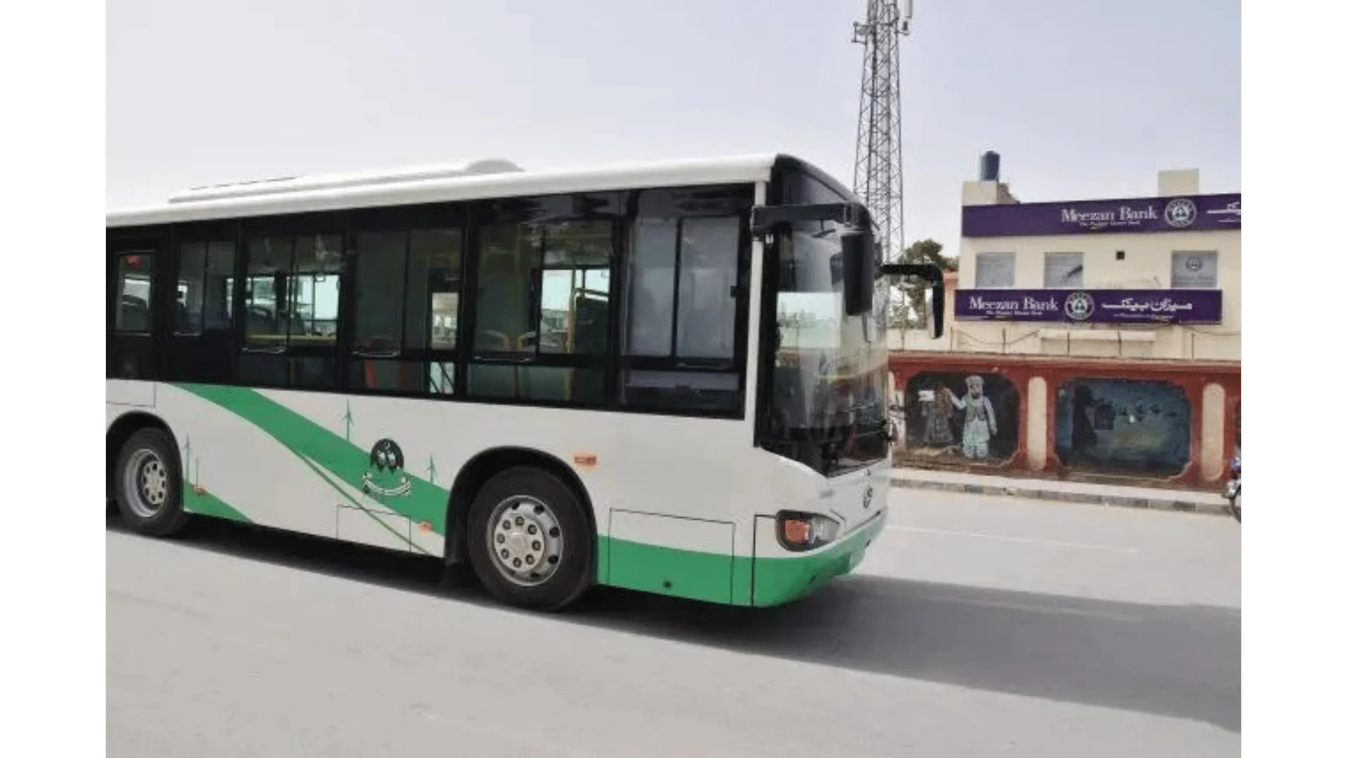 100 green buses